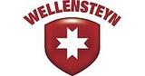 Logo: Wellensteyn
