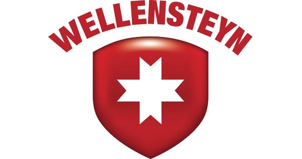 Wellensteyn