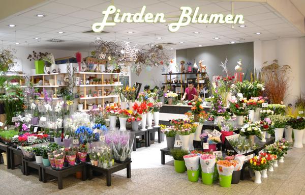 Linden Blumen