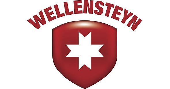 Wellensteyn